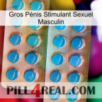 Gros Pénis Stimulant Sexuel Masculin new08